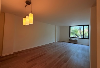 2007 N Sedgwick St unit 202, Chicago, IL 60614 - photo 5