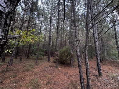 00 Coon Hop Rd, Hardaway, AL 36039 - photo 7