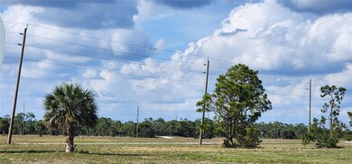 13014 Emerald Rd, Meadows and Villas, FL 33946 - photo 6