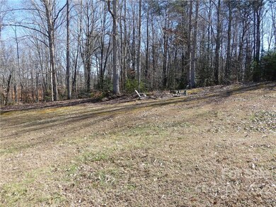 Magnificient back yard