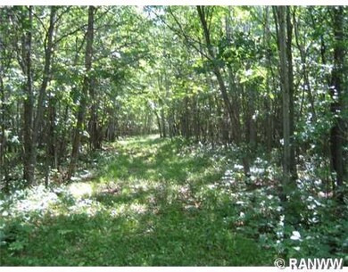 0 Alden Rd unit 842559, Jackson, WI 54893 - photo 3