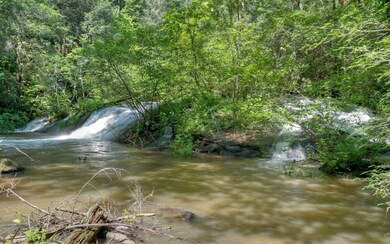 Additional View