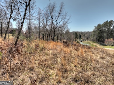 2 Arbor Creek Trail, Mineral Bluff, GA 30559 - photo 5