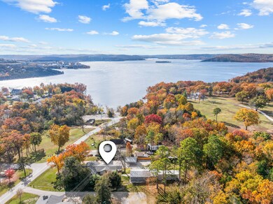 238 Dale Ave, Hollister, MO 65672 - photo 4