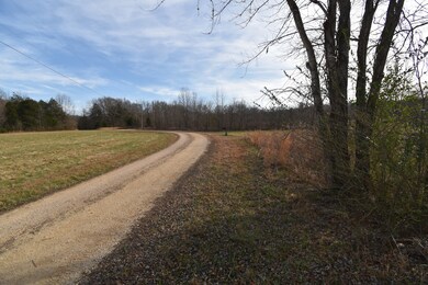 824 Buffalo Bottom Rd, Linden, TN 37096 - photo 2