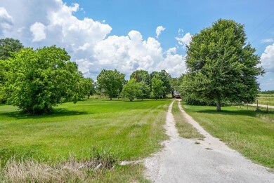 13626 Fm 442 Rd, Needville, TX 77461 - photo 6