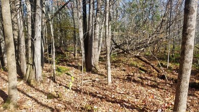 M1 L184 North Rd, Ripley, ME 04930 - photo 4