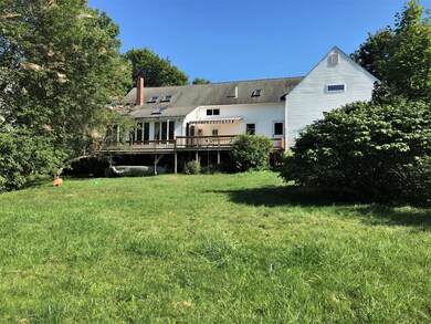 Backyard 1
