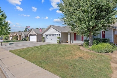 2-web-or-mls-713A9812
