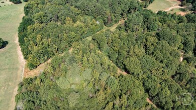 0 Irvin Kirk Rd, Danielsville, GA 30633 - photo 7