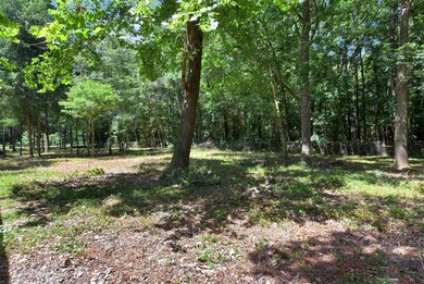 13993 Walker Rd, Conroe, TX 77302 - photo 3