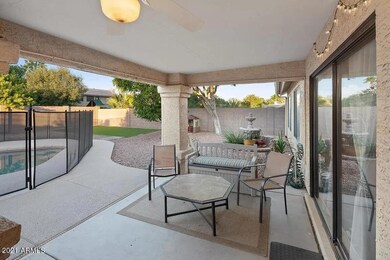 backyard5