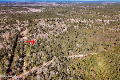 0 Kit Maples Rd, Perkinston, MS 39573 - photo 3