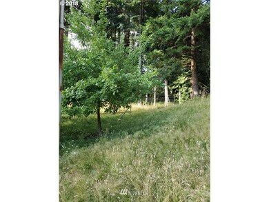 unlisted-address, Longview, WA 98632 - photo 6