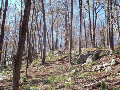 334 Swartekill Rd, Esopus, NY - photo 4