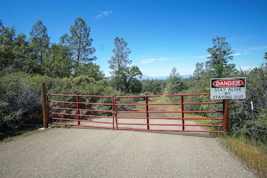 Gated Entry to Private Acreage