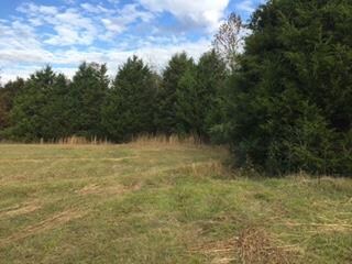 0 Highway 64 W unit 1999361, Shelbyville, TN 37160 - photo 2