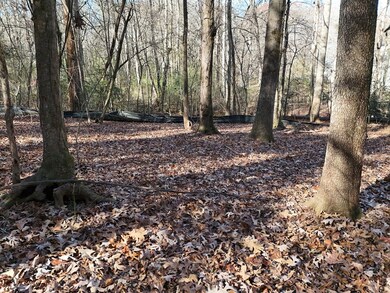 Lt 24 Winding Creek Rd, Blue Ridge, GA 30513 - photo 6