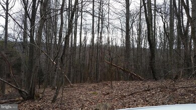 36 A High View Rd, Lost River, WV 26810 - photo 4