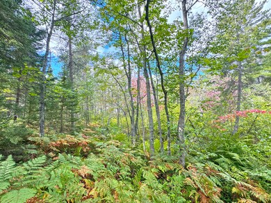 14599 N Whitefish Point Rd, Paradise, MI 49768 - photo 4