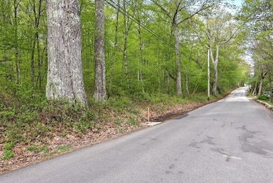 Lot 4 Reed St, Warren, MA 01083 - photo 4