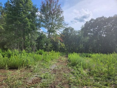 0 Thomas Springs Rd, Crossville, TN 38572 - photo 4