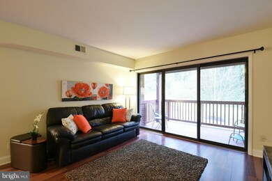 202 Skyhill Rd unit 4, Alexandria, VA 22314 - photo 3