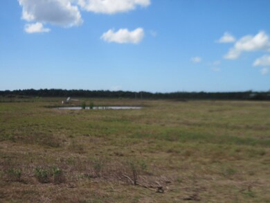 308 County Road 416, Brazoria, TX 77422 - photo 6