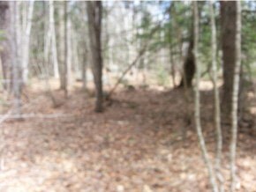 501 Roby, Sutton, NH 03221 - photo 7