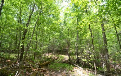 Additional View