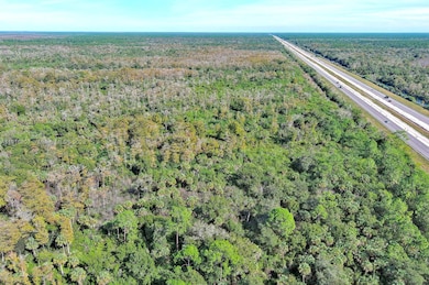 0 Everglades Pkwy, Naples, FL 34117 - photo 7