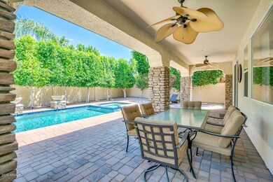 Backyard Oasis