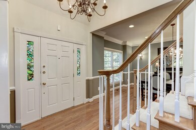 25655 Tremaine Terrace, Chantilly, VA 20152 - photo 6