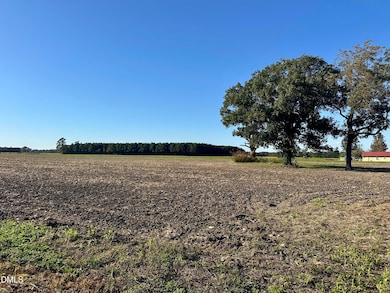 0 Main St, Newton Grove, NC 28366 - photo 3