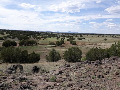20190427_150620 (1)
