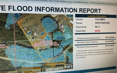 0 NW Bascom Norris Dr unit 129290, Lake City, FL 32055 - photo 2