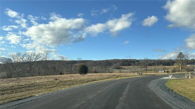 Newly paved road