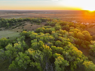 R Road unit LotWP001, Damar, KS 67632 - photo 4