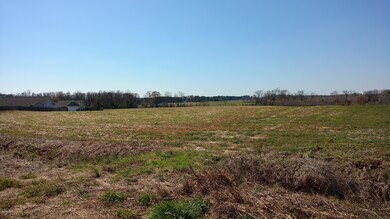 IMG_20180313_141551390