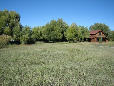 4325 Goodrick Ln, Wilson, WY 83014 - photo 7