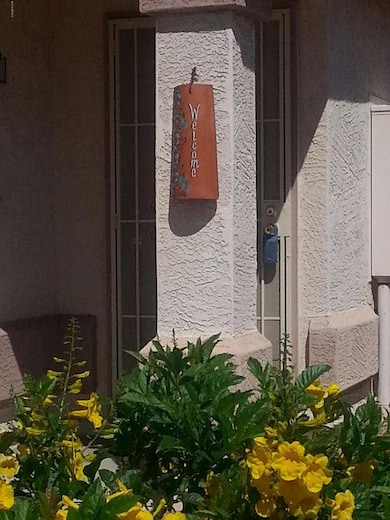 Security Door Entry