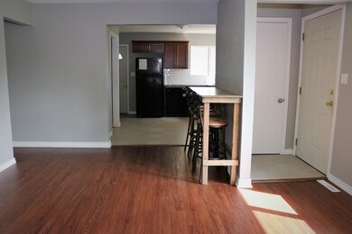IMG_3816 (2)