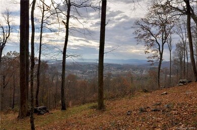 49 Split Rock Tr unit 4, Avery Creek, NC 28704 - photo 4