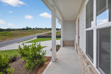 1141 Pine Valley Trail, Hoschton, GA 30548 - photo 4