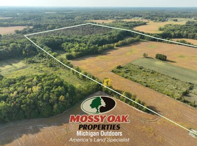 Vactant Land 1400 Block, Buchanan, MI 49017 - photo 5