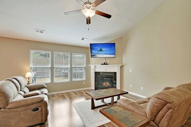 115 Weeping Cypress den fp