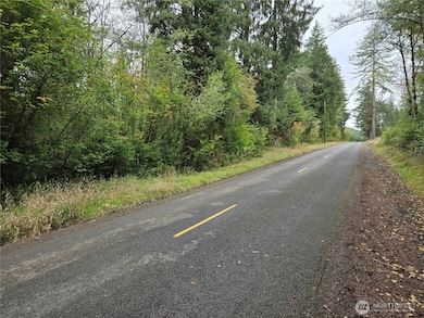 0 Lund Rd, Cosmopolis, WA 98537 - photo 2