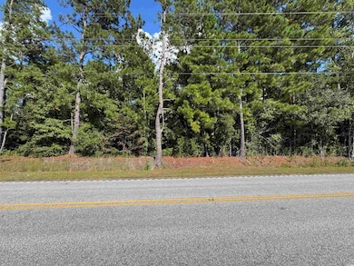 TBD Mount Olive Rd, Loris, SC 29569 - photo 7