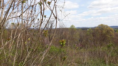 0 0 Maples Hollow Rd unit 1114351, Blaine, TN 37709 - photo 7