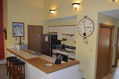 5 Northbrook Village Rd unit 32, Dover, VT 05356 - photo 5